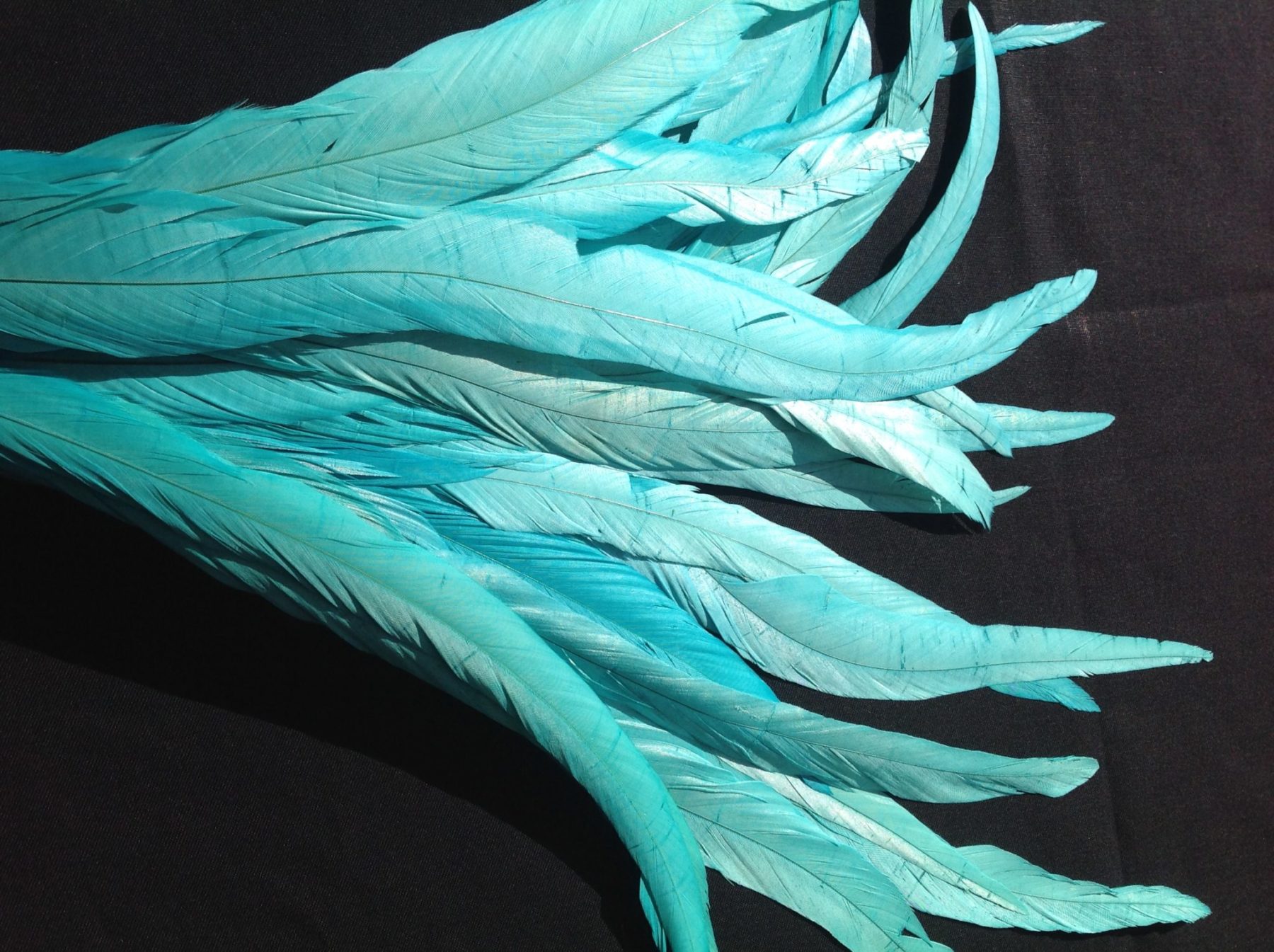 Aqua Blue Rooster Feathers Long Delicia Feathers