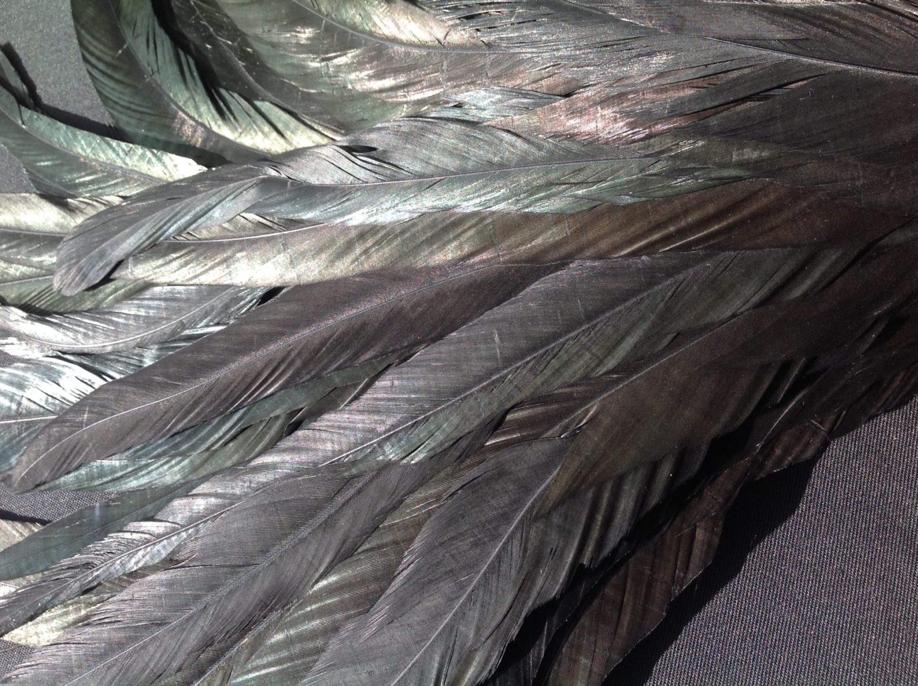 Iridescent Black Rooster Feathers Long Delicia Feathers