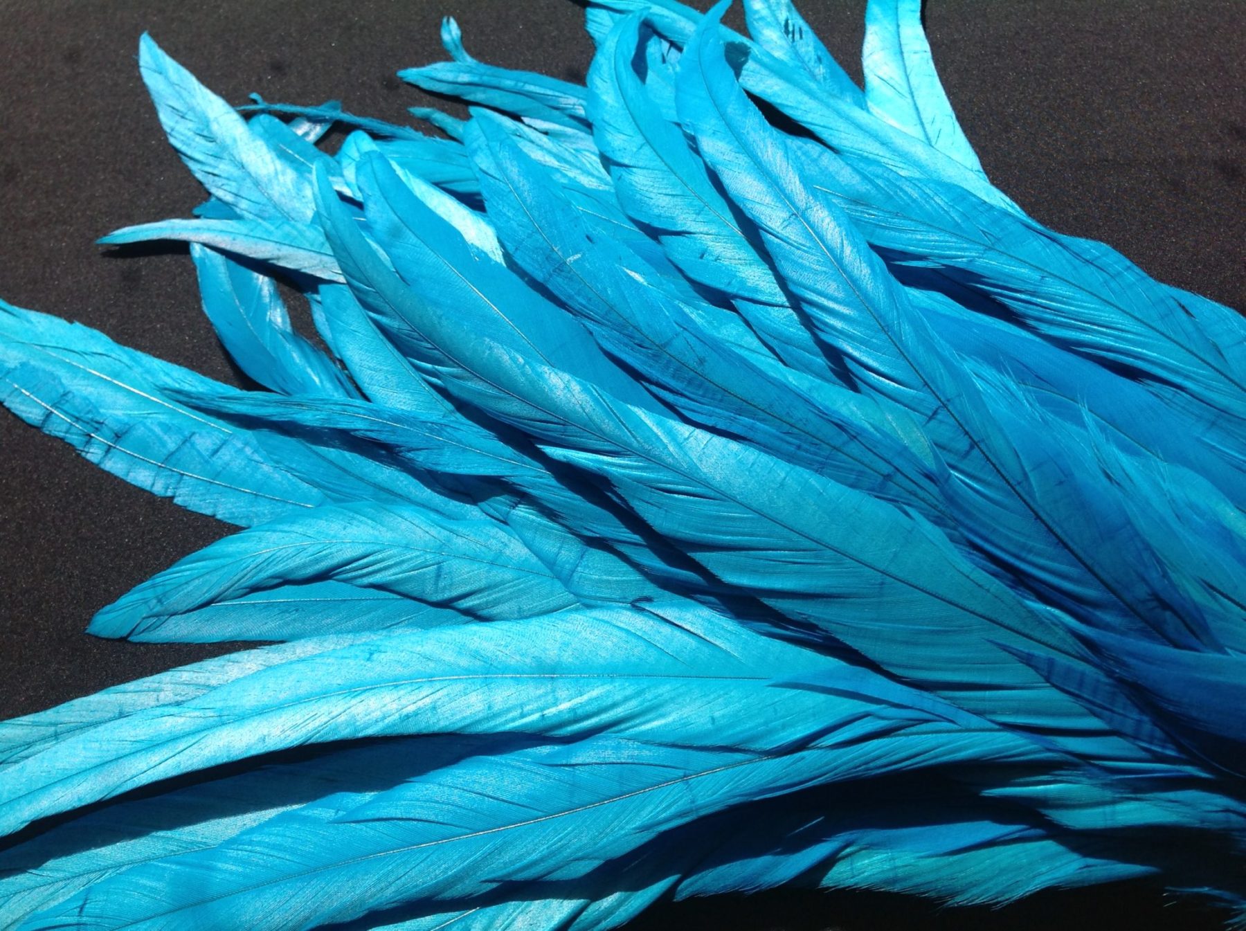 Turquoise Rooster Feathers Long Delicia Feathers