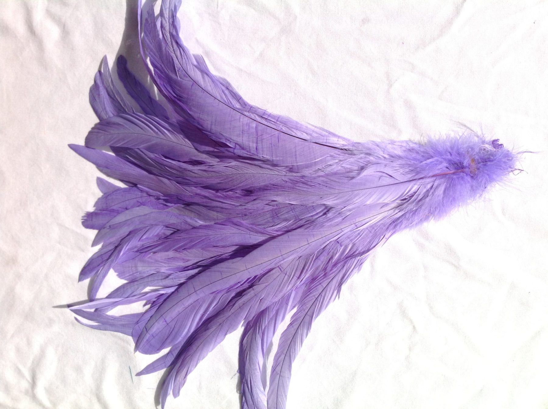 Lilac Purple Rooster Feathers short Delicia Feathers