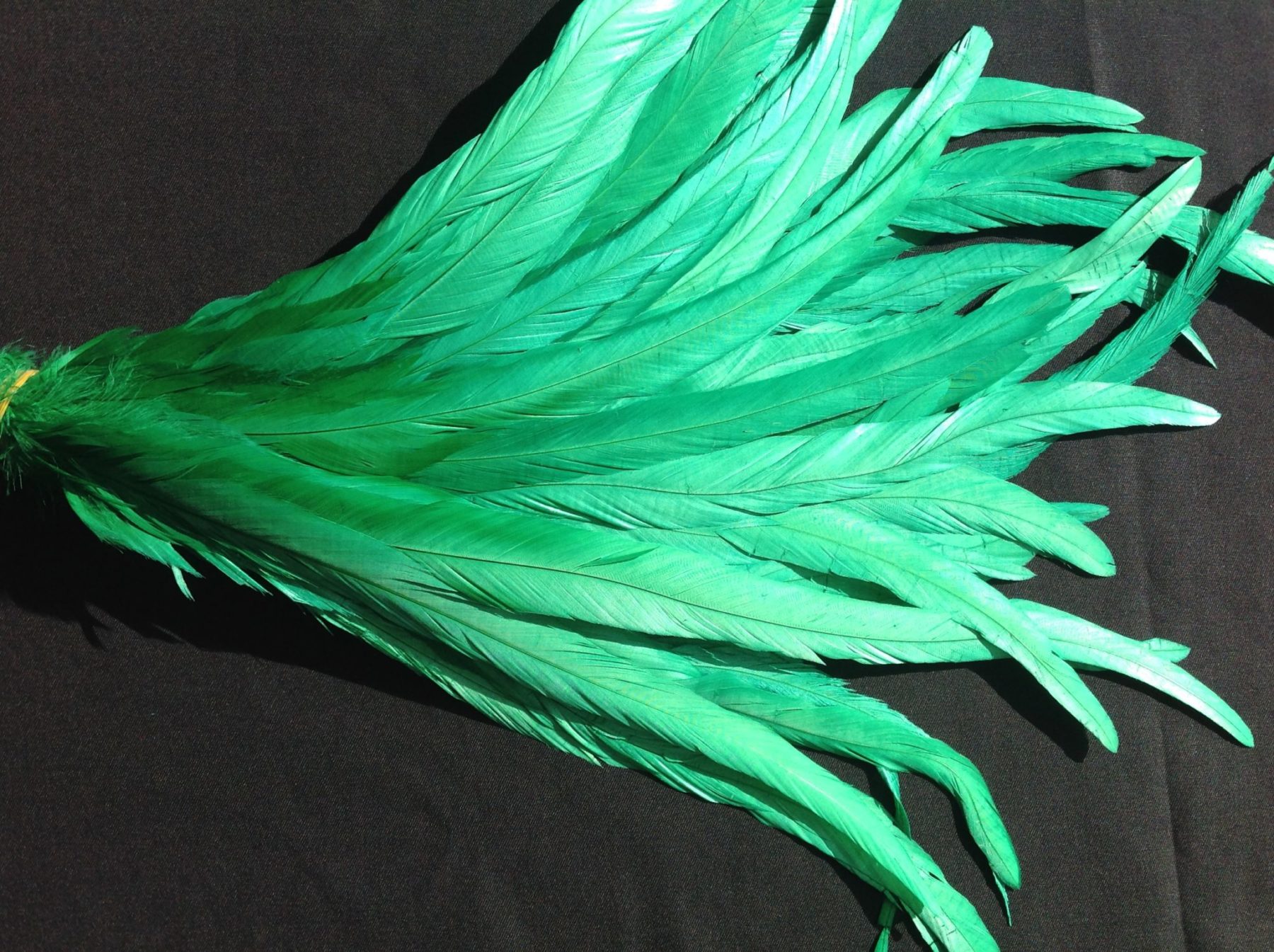 Emerald Green Rooster Feathers Long Delicia Feathers
