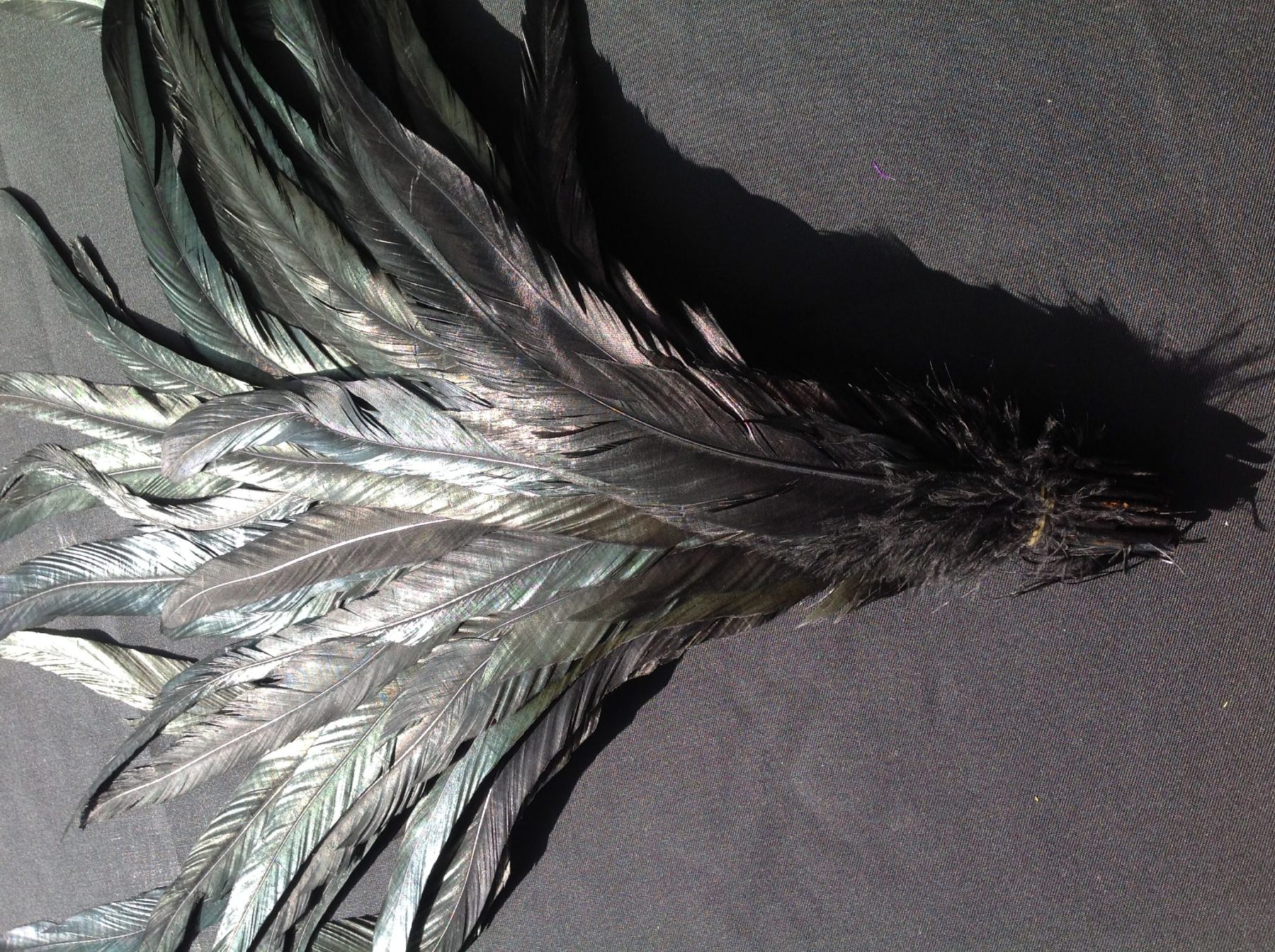 Iridescent Black Rooster Feathers Long Delicia Feathers