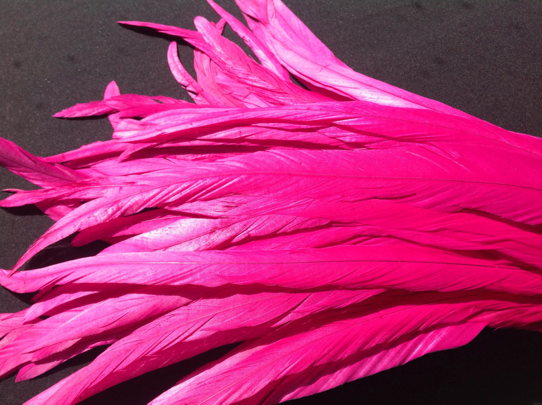 Fuchsia Pink Rooster Feathers Long Delicia Feathers
