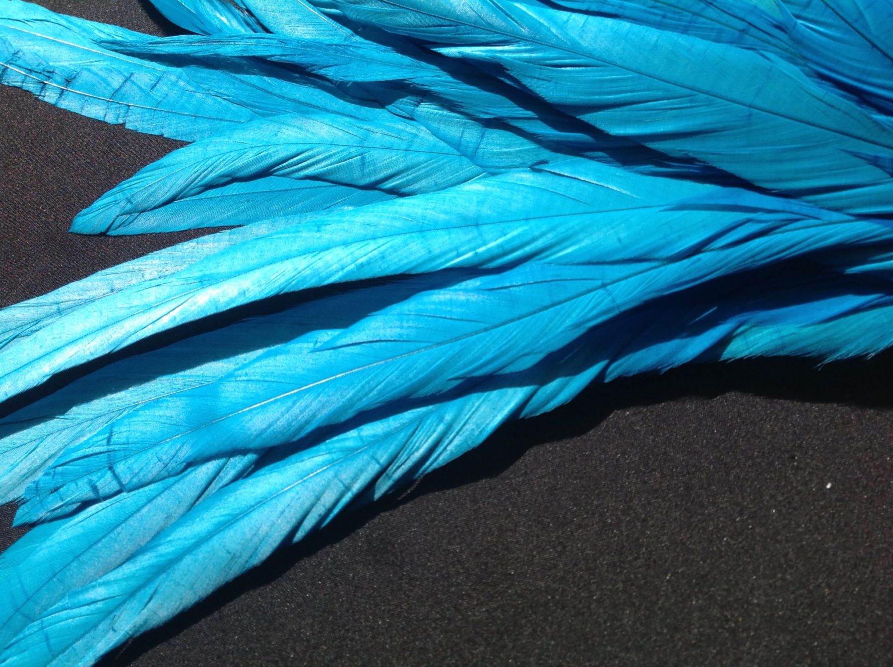 Turquoise Rooster Feathers Long Delicia Feathers