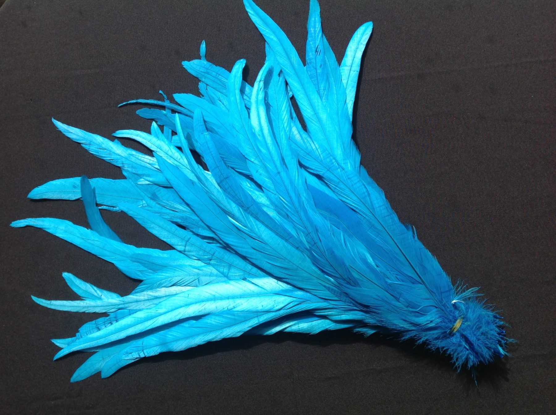 Turquoise Rooster Feathers Long Delicia Feathers